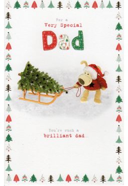 Dad Christmas 
