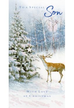 Son Christmas