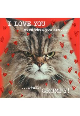 Happy Valentines Day 