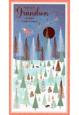 Grandson Christmas Card 