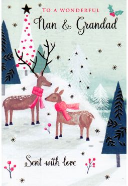 Nan And Grandad Christmas Card 
