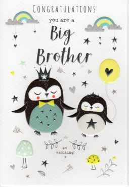 Baby Boy - Big Brother